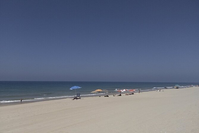 Faro City and Beach Tour on Electric Tuk tuks - What Makes This Tour a Great Deal?