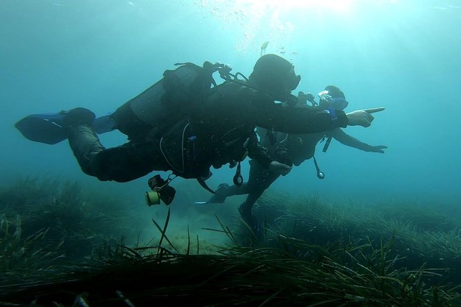 First scuba diving experience with instructor - Malta - The Itinerary: What to Expect