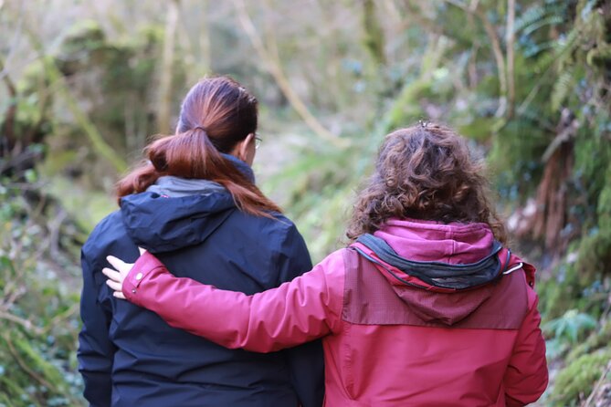 Forest Bathing in Tuscany with Wild Crafted Tea - The Unique Tea Ceremony and Vegan Snacks