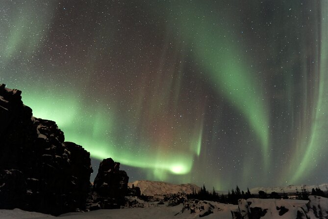 Forest Lagoon and Northern Lights Guided Night Tour - Exploring the Forest Lagoon and Its Unique Location