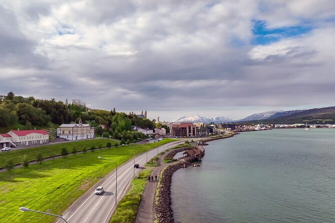 Forest Lagoon Ebike Tour Akureyri - What We Found in the Reviews