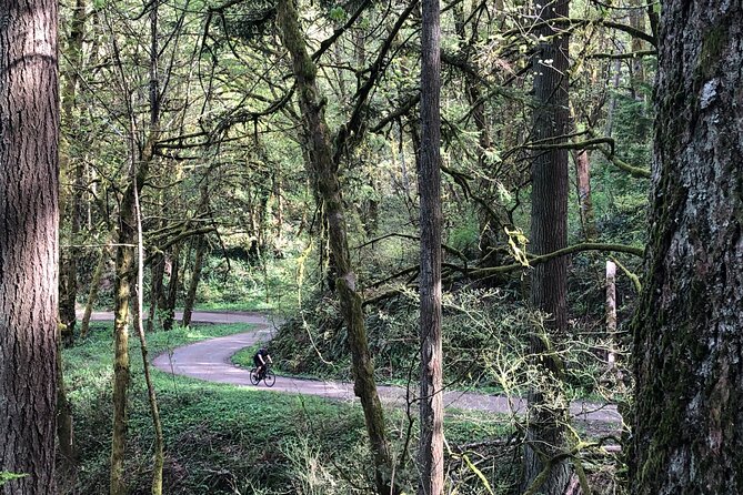 Forest Park Carbon Gravel Bike and E-Bike Tour - Practical Details