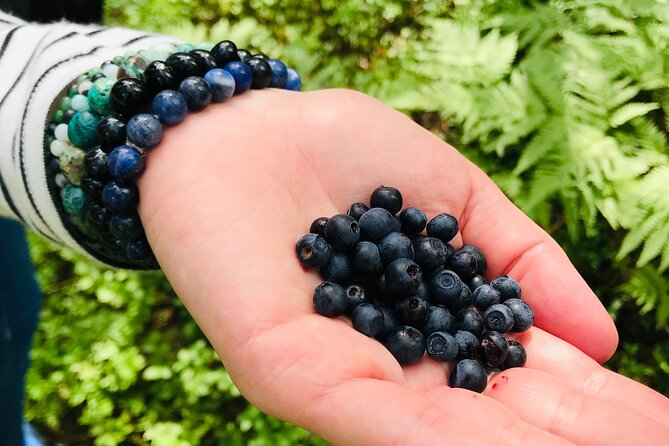 Forestbathing Slow Walking and Healing Spring Water, Stockholm - FAQs