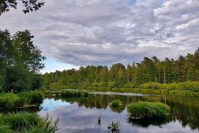 Four Natural Ecosystems In One Hike - Final Thoughts