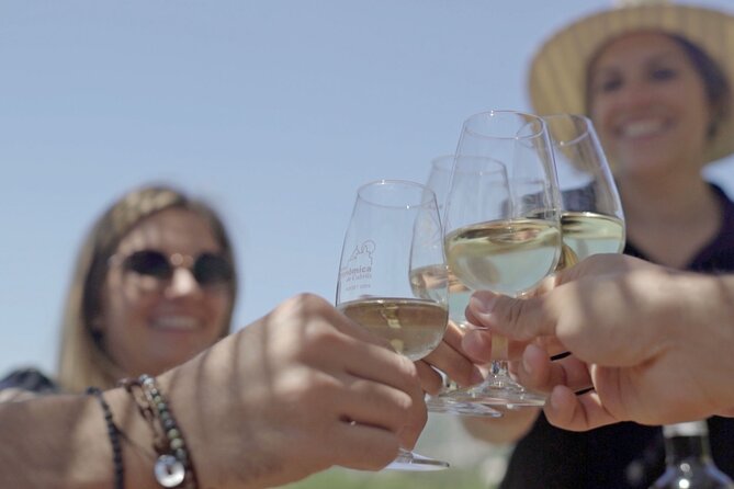 From Malaga: Ronda, Wine & Olive Oil Tasting Premium Small Group - What Makes This Tour Special?