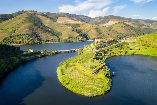 From Porto: Private Douro Valley Tour - Who Would Love This Tour?