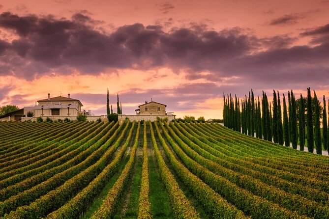 from Rome Montepulciano and Montalcino, the Wine Routes - The Value of the Experience