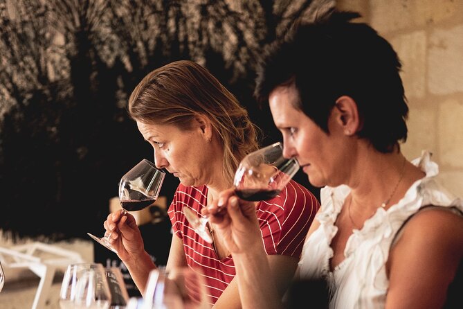 From Saint-Emilion : Half Day Electric bike Wine Tour - The Experience: What You Can Expect