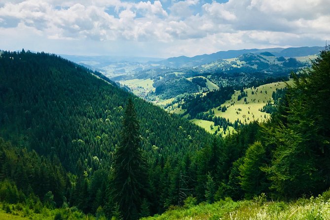 Full Day 4x4 Tour in the Eastern Carpathians - Final Thoughts: Is This Tour Right for You?