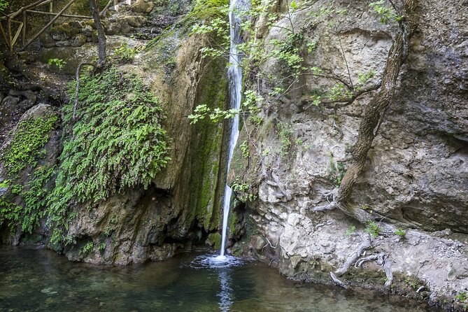 Full Day Butterflies and Boat Tour to Chalki Island - Exploring Butterfly Valley: A Natural Marvel