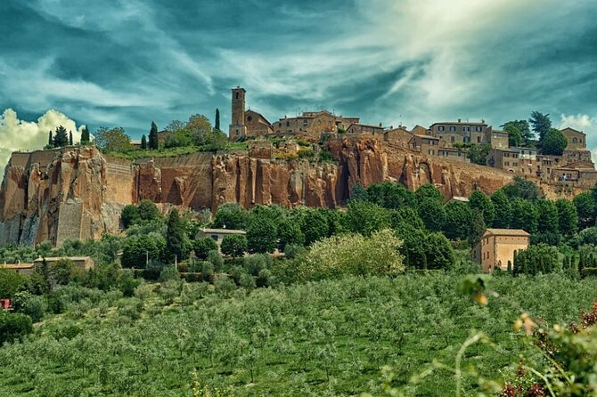 Full day experience | Tasting & art among the Orvieto vineyards - Value for Money: Is It Worth the Cost?