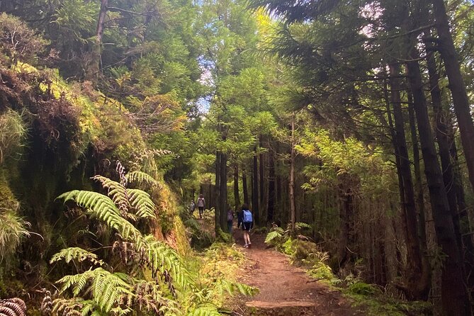 Full Day Hiking Trail Sete Cidades and Ferraria - The Thermal Baths at Ferraria – A Hot Finale
