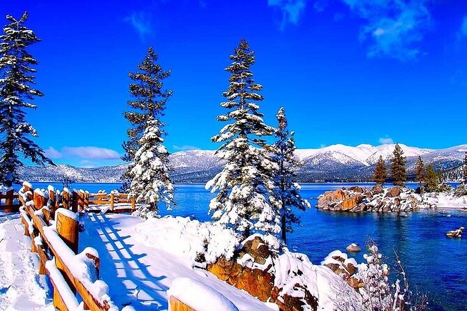 Full Day Private Lake Tahoe Tour from Oakland - Things to Consider
