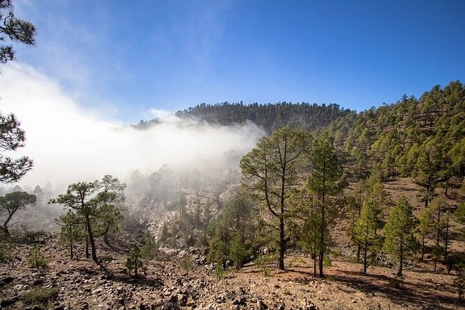 Full Day Small Group Tour to Masca and Teide From North Tenerife - The Value of This Tour