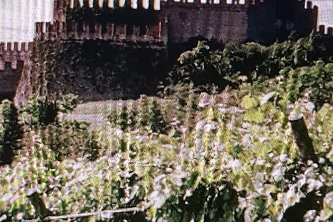 Full-Day Tour - I love Amarone Valpolicella & Verona - Exploring Verona: More Than Romeo & Juliet