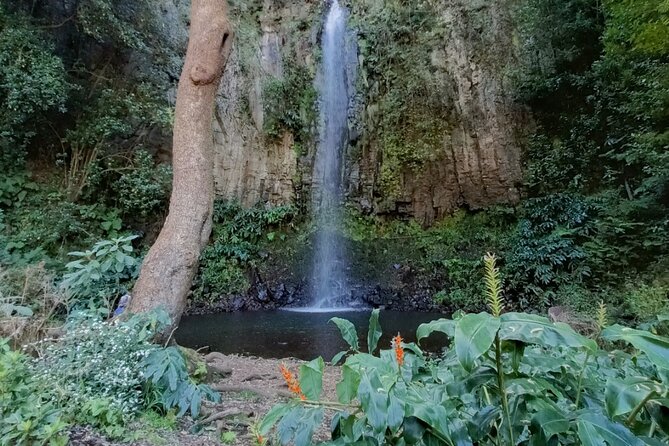 Funchal: Pico do Arieiro to Santana and Ponta de Sao Lorenco - Practical Details and Value