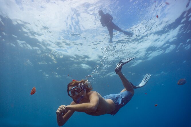 Funchal: Snorkeling Adventure in Eco-Park / Shore or by Boat - Discovering the Snorkeling Experience in Funchal