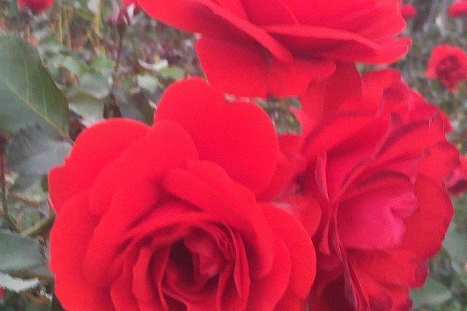 Getty Museum Private Tour - Who Should Consider This Tour?