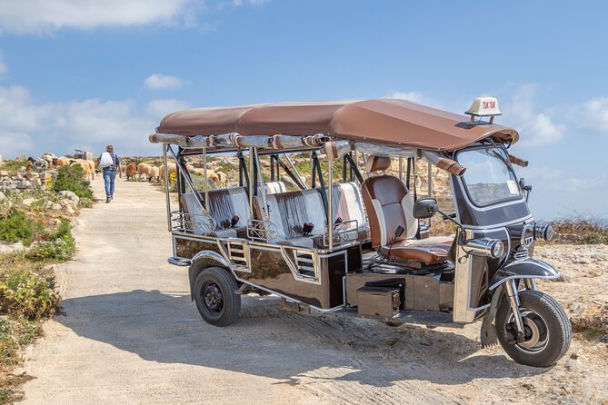 Gozo All Inclusive Chauffeured Tuk Tuk Day Tour - Blue Lagoon - Analyzing the Value