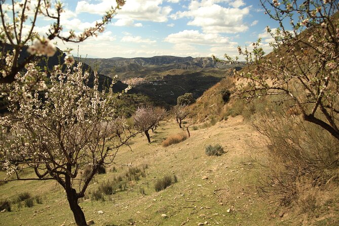 Granada: Nature, Wildlife and Authentic Villages E-bike Tour - FAQ