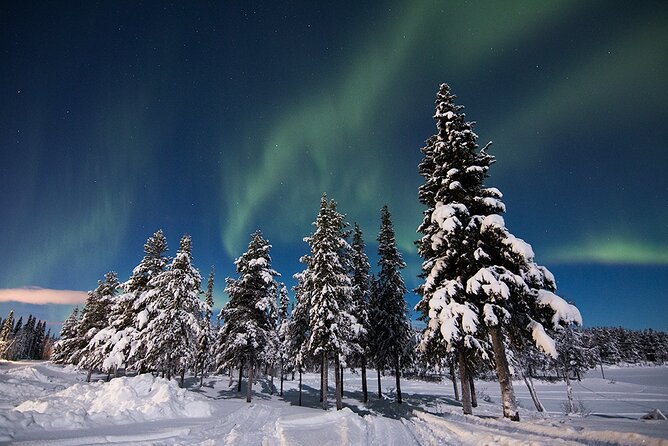 Guided Northern Lights Tour at Kiruna - Who Might Want to Consider Other Options?
