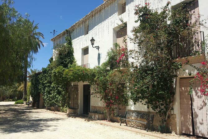 Guided Tour Of An Old Winery with Tasting from Alicante and Elche - Practicalities and Considerations