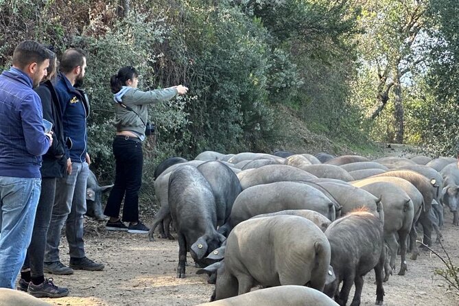 Guided Tour of the Genal Valley - The Itinerary: A Step-by-Step Look