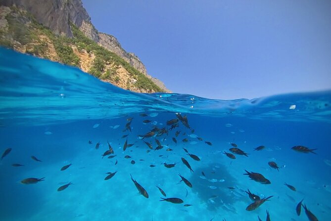 Gulf of Orosei Speedboat Trip with Aperitif from Cala Gonone - In-Depth Look at the Itinerary