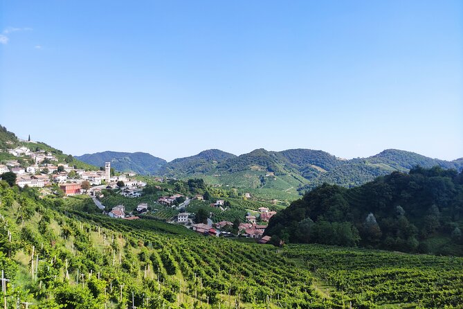 Half-Day E-Bike Tour in Prosecco Hills with Prosecco Tasting - What’s Included and What’s Not