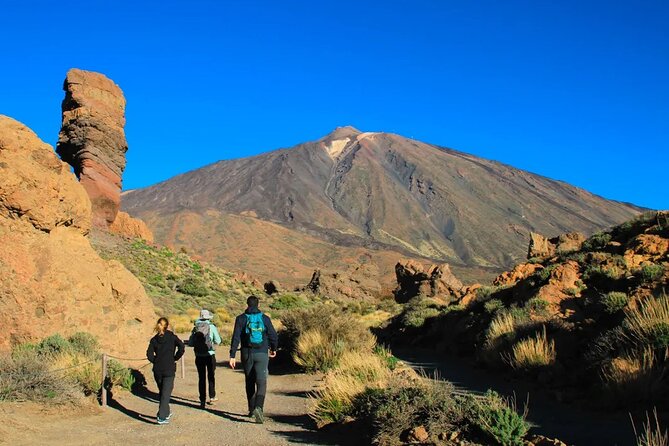 Half-day excursion to Teide National Park - Who Should Consider This Tour?