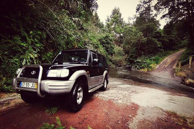 Half Day Fire Lake and Pineapple Farm Tour in Sao Miguel with Tea - The Experience of a Lifetime: What Makes It Special?