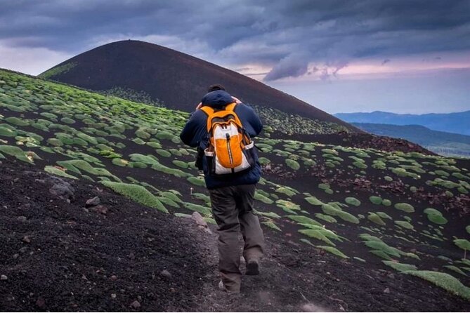 Half Day Guided Tour in Mount Etna (3000 meters) - Transportation and Logistics