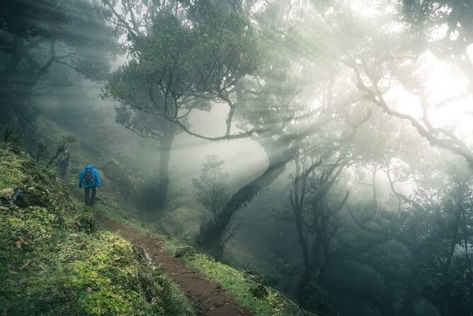 Half Day Madeira West Tour - Analyzing the Experience: Value and Practicality  