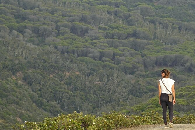 Half Day Nature Walk and Picnic at West Coast Algarve - The Value of the Experience