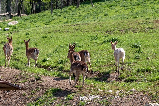 Half-Day of Horseback Adventure with Wine Tasting - Practical Details and What to Expect