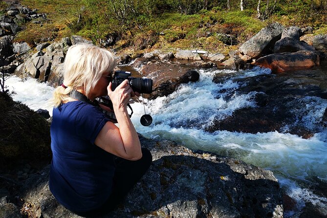 Half day Wildlife and Nature Photography - What to Expect from the Experience