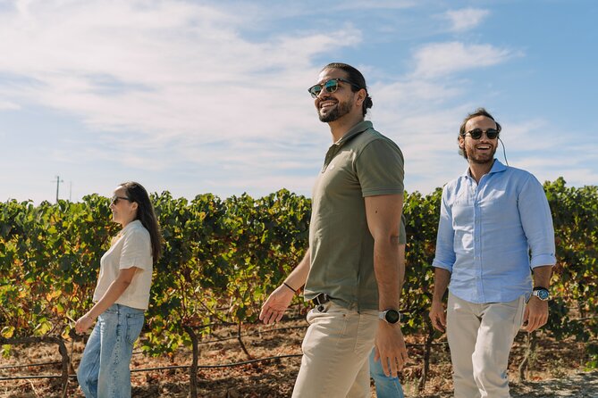 Half Day Wine Tour Around Evora - The Experience Through the Eyes of Past Travelers