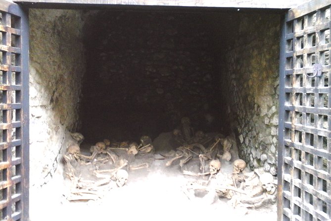 Herculanium guided tour - FAQs About the Herculaneum Guided Tour