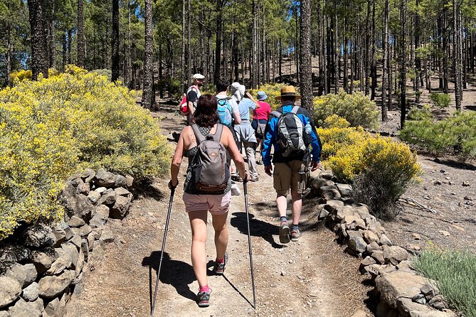 Hikes Roque Nublo - The Itinerary in Detail