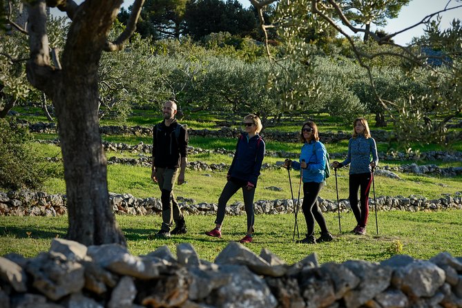 Hiking tour Vidova gora and visiting Museum of olive oil - Post-Hike: Olive Oil Tasting and Cultural Insights