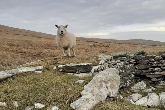 Historical Walking Tours in Valentia and the Skellig Region - Practical Details and Booking