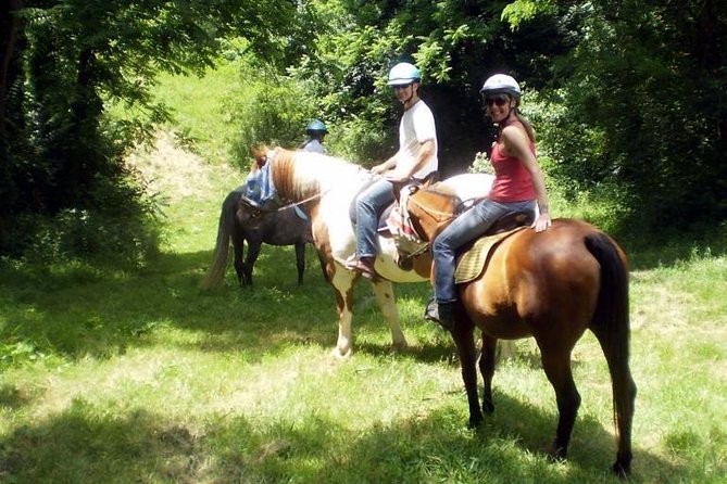 Horse riding excursion - Why This Tour Is Worth Considering