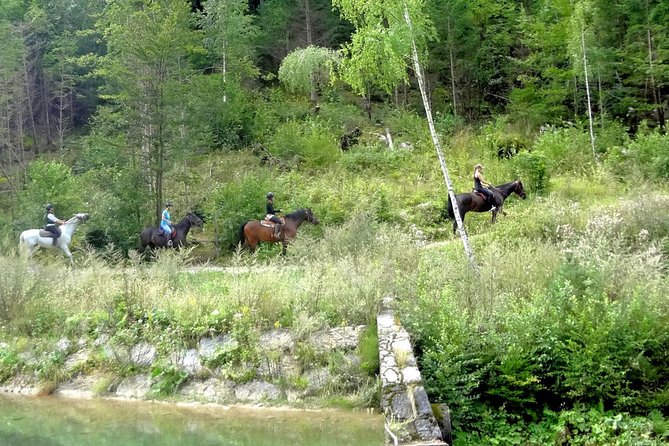 Horse Riding in Bled - How to Prepare for Your Horse Riding Tour
