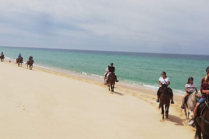 Horse Riding on the Beach Tour - Detailed Breakdown of the Itinerary