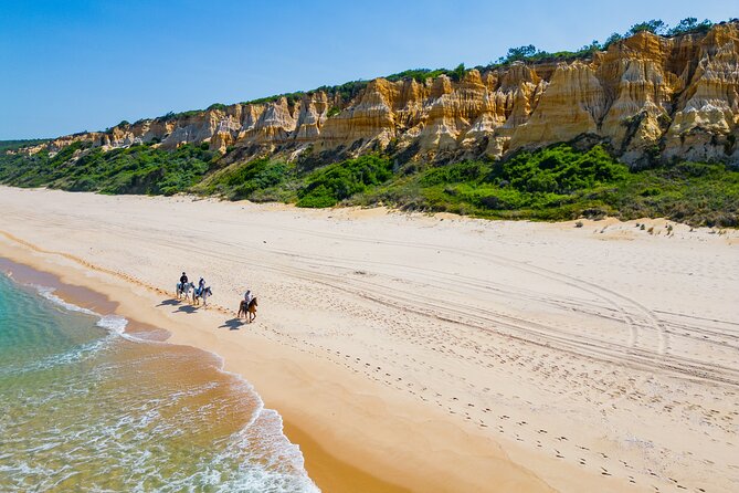 Horseback Riding, 4 Options-Mountain, Lesson Ring, Beach (2Hours) - The Sum Up  