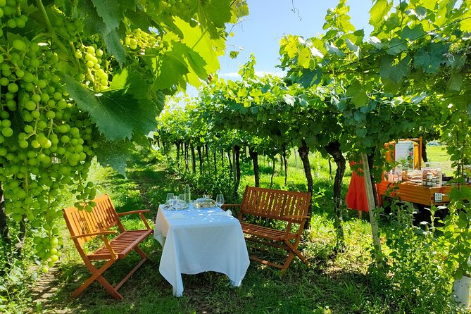 Horseback Riding with Wine and Food Tasting in Lazise Countryside - Who Should Consider This Tour?