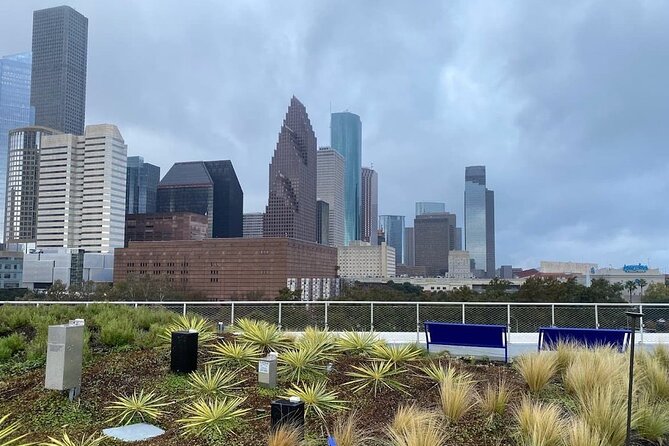Houston Heights Culture and Food Tour - Authentic Feedback and Insights