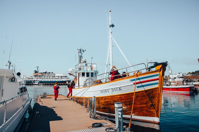 Húsavík Whale Watching Tour, family owned and operated - The Itinerary and What to Expect
