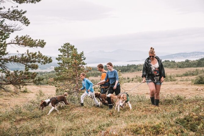 Husky Hike and Puppy Visit with Lunch - Practical Details and Considerations