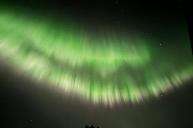 Husky Sled Ride Northern Lights Tour from Kiruna - What to Expect During the Husky Sled and Northern Lights Tour